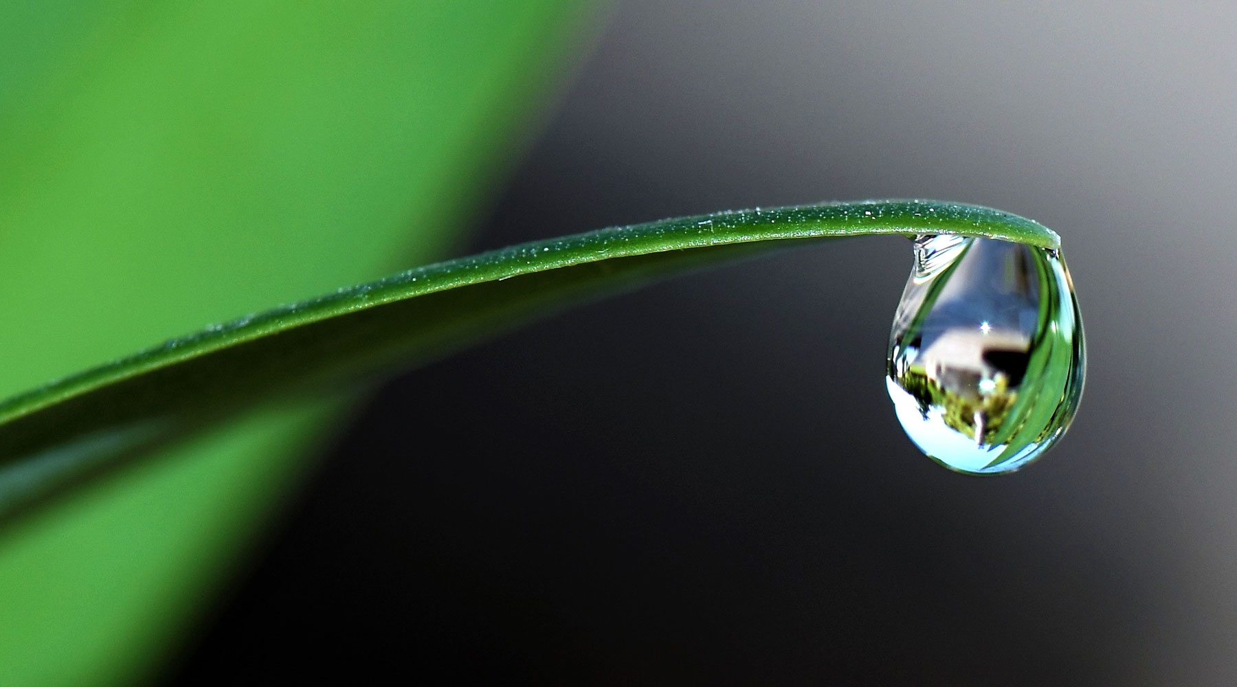 Camino Real Utility Company provides quality water resource recovery & reuse water services