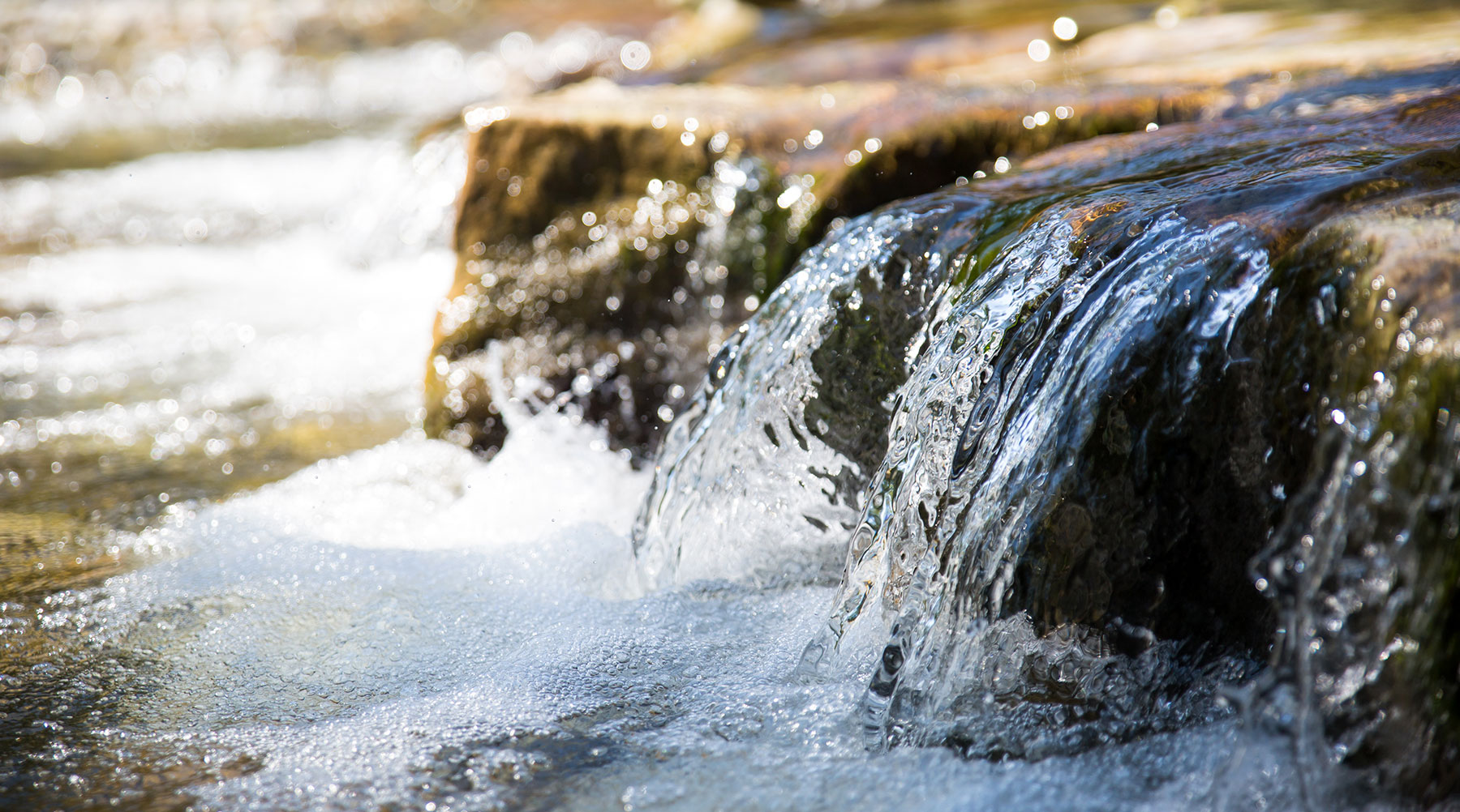 Plum Creek Utility Company